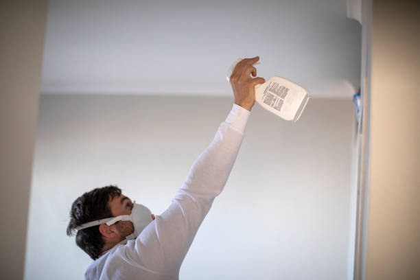 Best Bathroom Mold Remediation in Orland, CA
