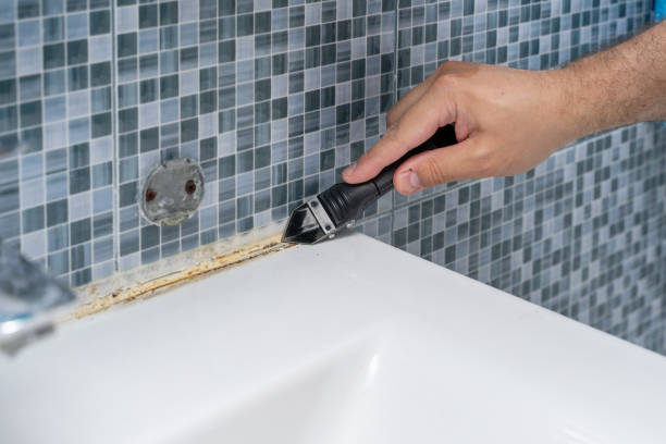 Best Residential Mold Remediation in Orland, CA