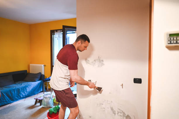 Best Insurance-Related Mold Remediation in Orland, CA